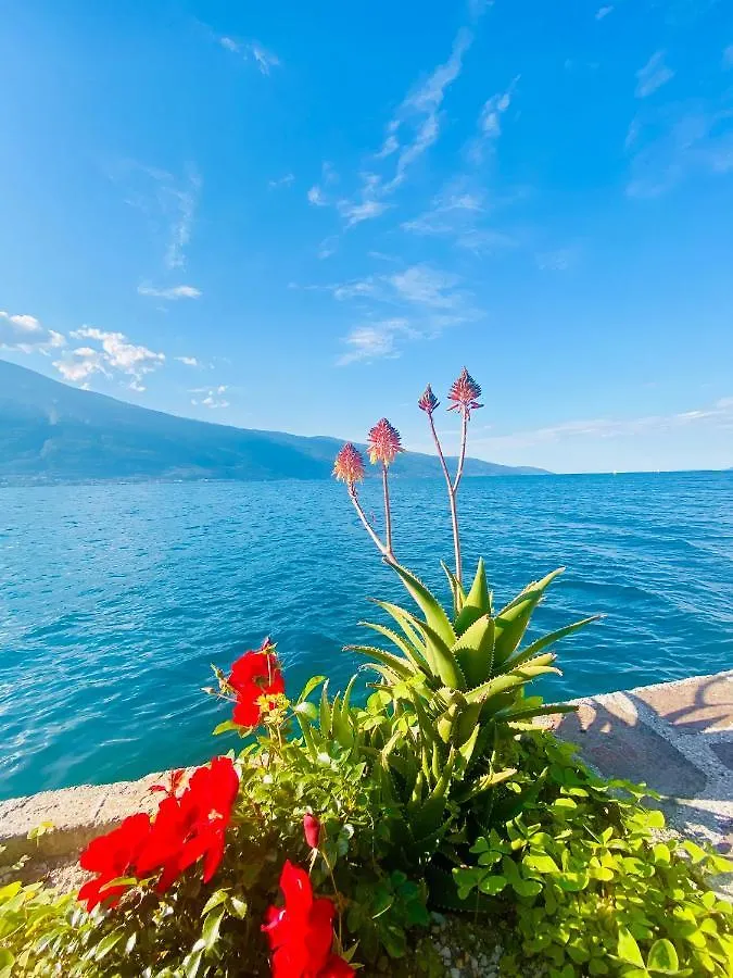 Hotel Forbisicle Tignale